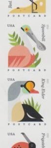 US 4991-94b Modern Imperf Coastal Birds Strip of 4