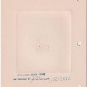 US868P1 10c James W. Riley Large Die Proof in Brown on India