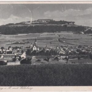 Germany 1931 Zeppelin Nüremburg Flight Card with C35 to Frankfurt