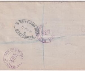 Great Britain / US 1931 Reg. Trans-Arctic Sub Cover signed by Hubert Wilkens