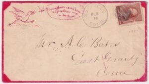 US 1889 Rare Hand Drawn Cover of Bird Chasing Insect