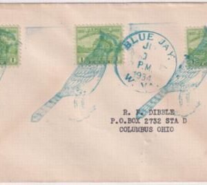 US West Virginia, Blue Jay 728 Fancy Cancel Cover, Bird Cancel