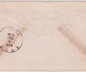 US Tennesse, Acorn 735a Fancy Cancel Cover, Acorn Fancy Cancel