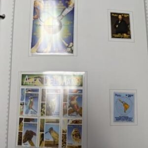 Peru 1996-2013 Newly Mounted Modern Collection in Minkus Binder with Loose pages