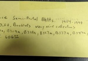 France 1954-199 Mint Collection of 41 Semi Postal Booklets