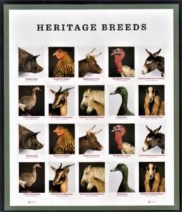 US 5583-92c Modern Imperf Heritage Breeds Sheet
