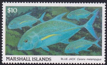 INV-23701itExt_8dab02a8-abb1-4ed2-95c1-50fc2ccebf01 US 184 Trust Territories Marshall Islands NH VF $10 Fish Definitive