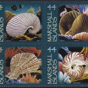 US 957 Trust Territories Marshall Islands NH VF Shells Block