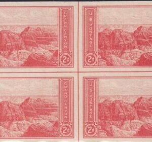 US 757 2¢ Grand Canyon Farley Mint Positions No Gum VF Center Line Or Cross Gutter Block