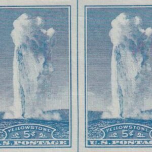 US 760 5¢ Yellowstone Farley Mint Positions No Gum VF Horiz. Pair Vert. Ln.