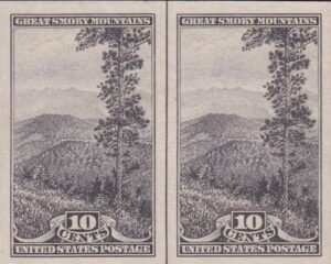 US 765 10¢ Great Smoky Farley Mint Positions No Gum VF VF Horiz. Pair Vert. Line