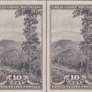 US 765 10¢ Great Smoky Farley Mint Positions No Gum VF VF Horiz. Pair Vert. Line