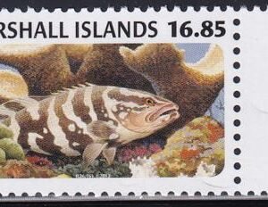US 1050 Trust Territories Marshall Islands NH VF Nassau Grouper