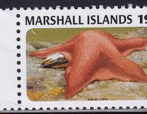 US 1051 Trust Territories Marshall Islands NH VF Starfish
