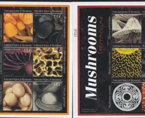 US 381-82 Trust Territories Micronesia NH VF Mushrooms M/S