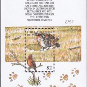US 411 Trust Territories Micronesia NH VF Cats S/S