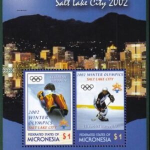 US 503a Trust Territories Micronesia NH VF Winter Olympics S/S (Sm. Rings)