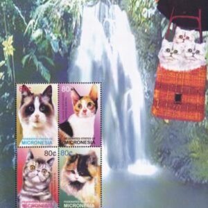 US 570 Trust Territories Micronesia NH VF Cats M/S