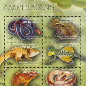 US 623 Trust Territories Micronesia NH VF Reptiles & Amphibians M/S
