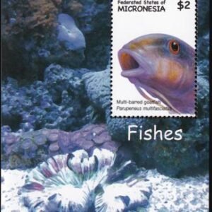 US 743 Trust Territories Micronesia NH VF Fish S/S