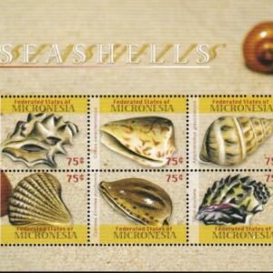US 833 Trust Territories Micronesia NH VF Shells M/S