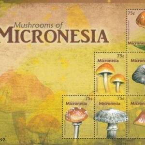US 869 Trust Territories Micronesia NH VF Mushrooms M/S