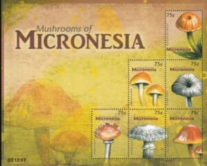 US 869 Trust Territories Micronesia NH VF Mushrooms M/S