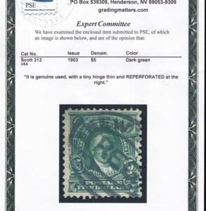 US 313 Bureau & Regular Issues Used F-VF Nicely Centered But Thin Speck - Reperfed Right - PSE Cert.
