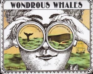 US 945 Trust Territories Micronesia NH VF Whales S/S