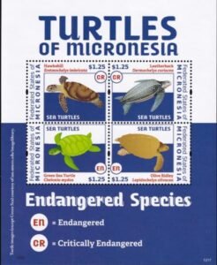 US 980 Trust Territories Micronesia NH VF Turtles Sheet Of 4