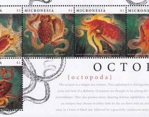 US 999 Trust Territories Micronesia NH VF Octopus Sheet Of 5