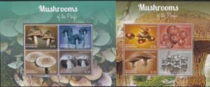 US 1034-35 Trust Territories Micronesia NH VF Mushrooms Sheets