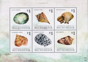 US 1039 Trust Territories Micronesia NH VF Seashells Sheet