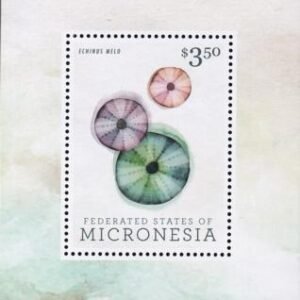 US 1040 Trust Territories Micronesia NH VF Seashells S/S