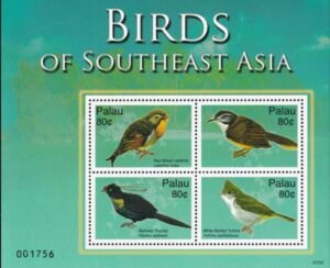 US 920 Trust Territories Palau NH VF Birds Of SE Asia M/S