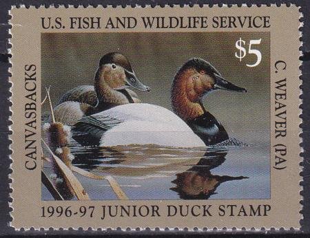 INV-27677itExt_1945c3d1-9434-4985-b9be-4932a74d35ce US JDS4 Junior Duck Stamp VF NH 1996-1997 Single