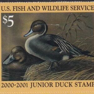 US JDS8 Junior Duck Stamp VF NH 2000-01 Single