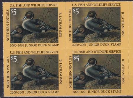 INV-27682itExt_af1157ab-cdee-4989-8078-469729686ad8 US JDS8 Junior Duck Stamp VF NH 2000-01 Plate Block