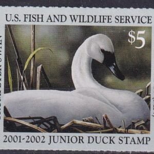 US JDS9 Junior Duck Stamp VF NH 2001-02 Single