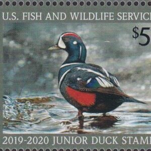 US JDS27 Junior Duck Stamp VF NH 2019-20 Single