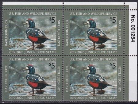 INV-27686itExt_f2c92674-6394-4a45-8b84-cdbf1e7c9065 US JDS27 Junior Duck Stamp VF NH 2019-20 Plate Block