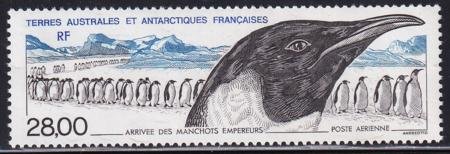 INV-28192itExt French Southern & Antartic Territories C132 Emperor Penguins