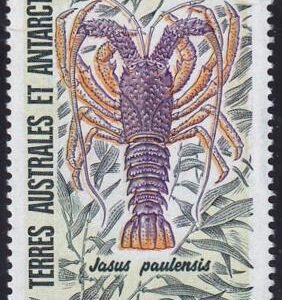 French Southern & Antartic Territories C140 Insect