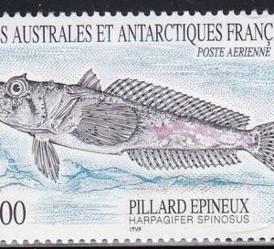 French Southern & Antartic Territories C144 Fish