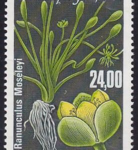 French Southern & Antartic Territories C148 Plant