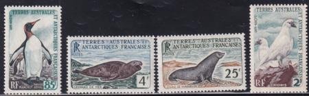 INV-28216itExt_bb01c57c-d84f-4b88-ae39-4ddebfe5c7e5 French Southern & Antartic Territories 16-19 Animal