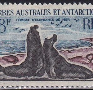 French Southern & Antartic Territories 22 Seal