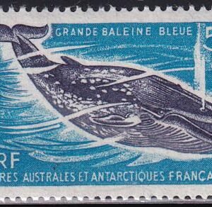 French Southern & Antartic Territories 25 Whale