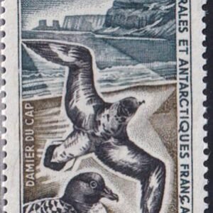 French Southern & Antartic Territories 26 Pigeon