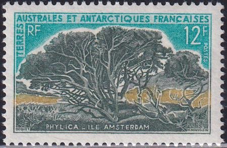 INV-28224itExt French Southern & Antartic Territories 27 Tree